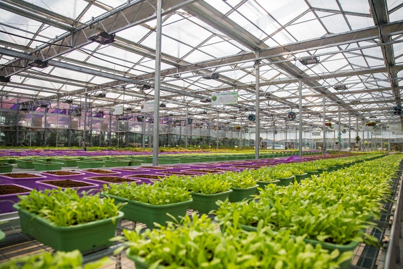 新品速遞|一款帶屏顯的數字式溫濕度傳感器