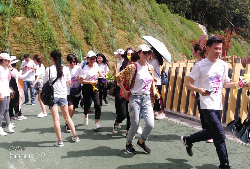 攜手并進·沖刺2019|云里物里營銷中心登山拓展活動圓滿結束!