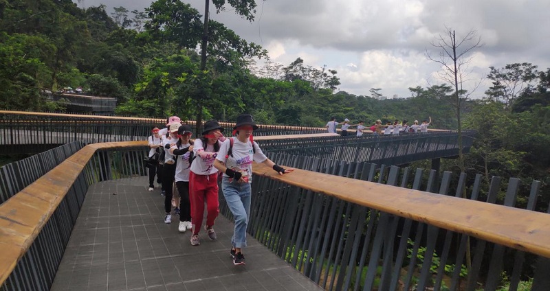 攜手并進·沖刺2019|云里物里營銷中心登山拓展活動圓滿結束!