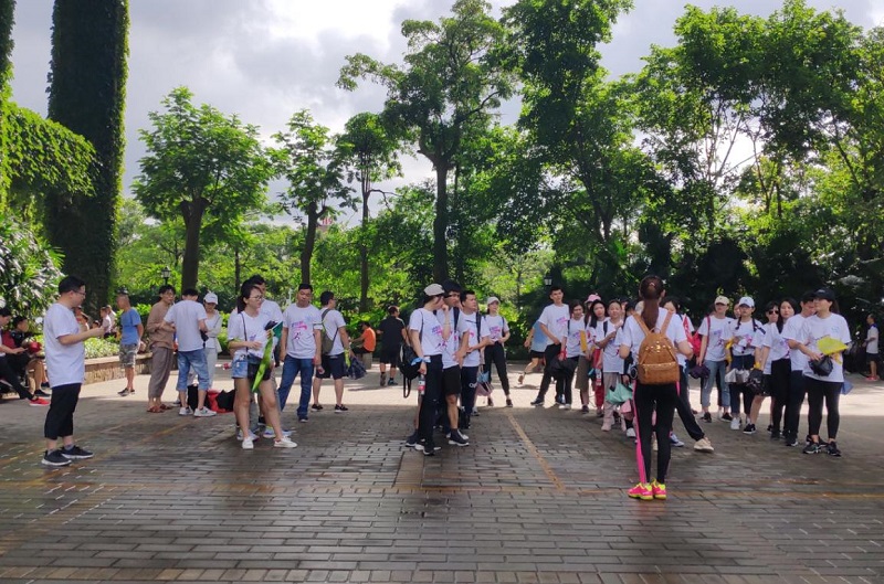 攜手并進·沖刺2019|云里物里營銷中心登山拓展活動圓滿結束!