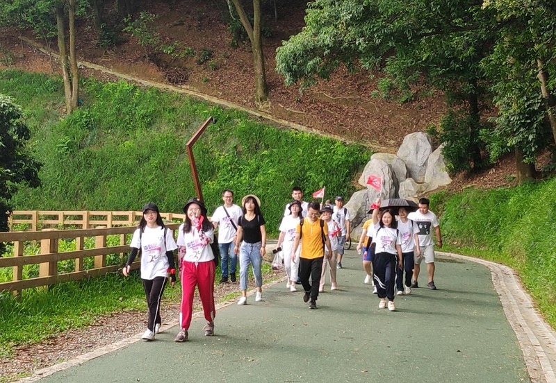 攜手并進·沖刺2019|云里物里營銷中心登山拓展活動圓滿結束!